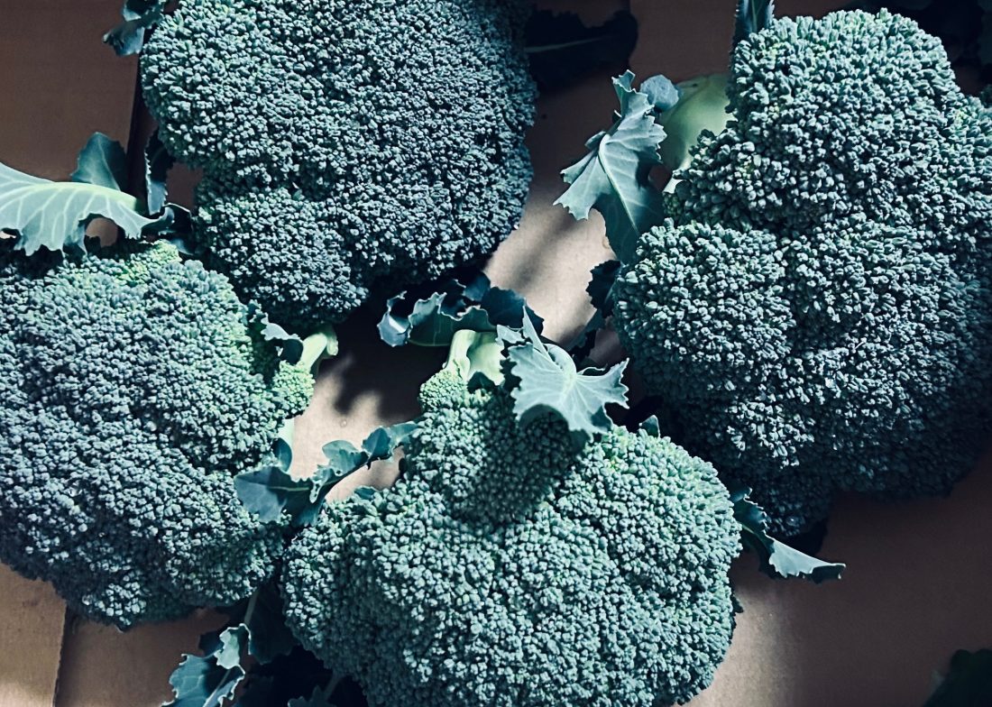 ブロッコリー