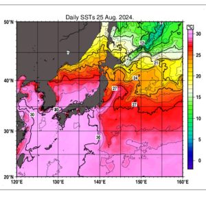 日本周辺の海面水温