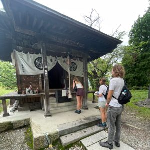 ひょんな出会い