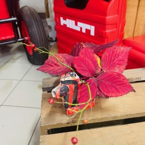 ラファエルナバスと秋の香