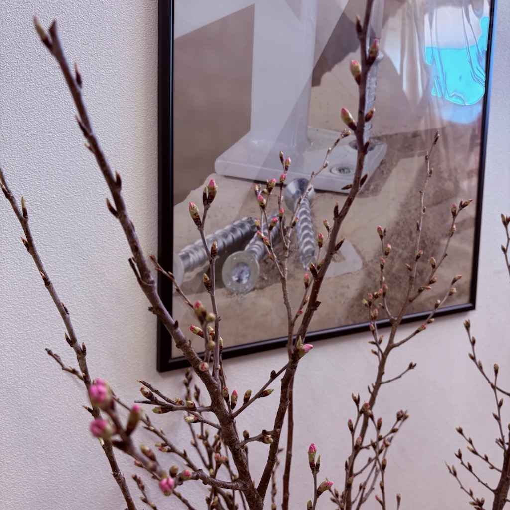 大寒末候、春の香