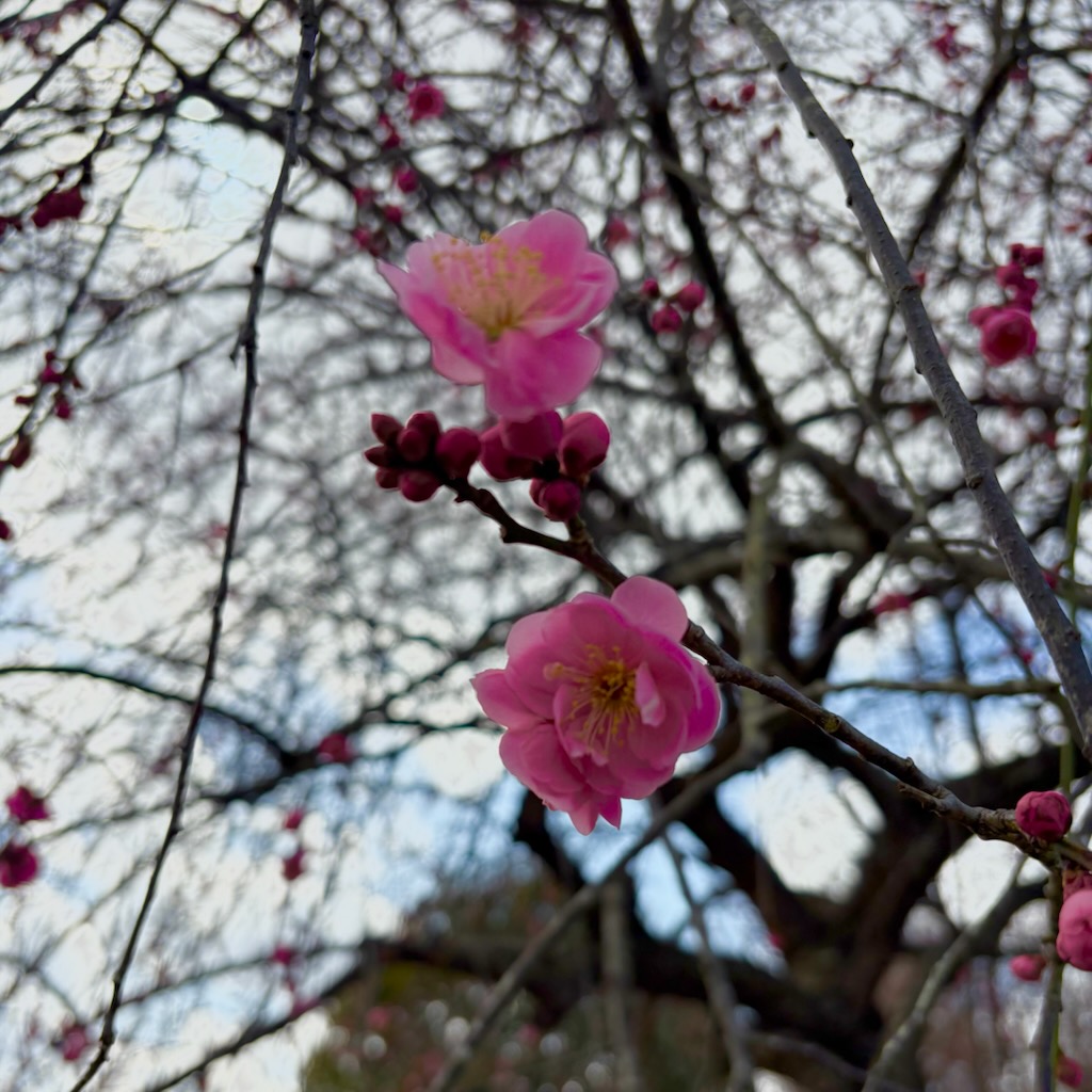 2026年 火薬類保安教育 春季講習