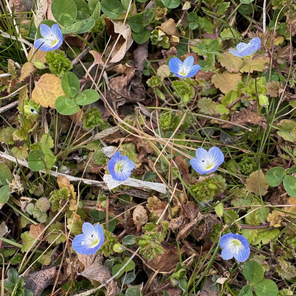 地域の未来も、小さな芽から
