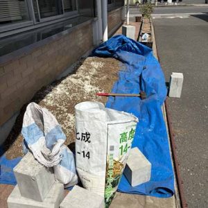 グリーンカーテン準備