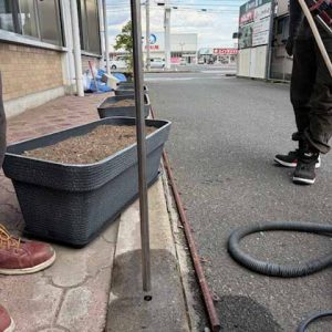 グリーンカーテン準備