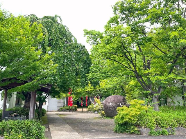 ◇壁にラクバリ: 青い窓@開成柏屋◇
梅雨を迎え、雨が降った次の日は
土と草木の香りがふわっと風にのって薫ります🌿

彩り豊かに花火を空に咲かせて頂きました

青い窓さんのお山はすっかり深緑へと移り変わっておりました🌳

子供達の詩と共にどうぞご覧ください😌
是非お立ち寄り下さいませ

青い窓ポケットガーデン
※ 福島県郡山市朝日1-13-5　開成柏屋内

#青い窓ポッケトガーデン
#マスキングテープ
#マステアート
#子どもの詩